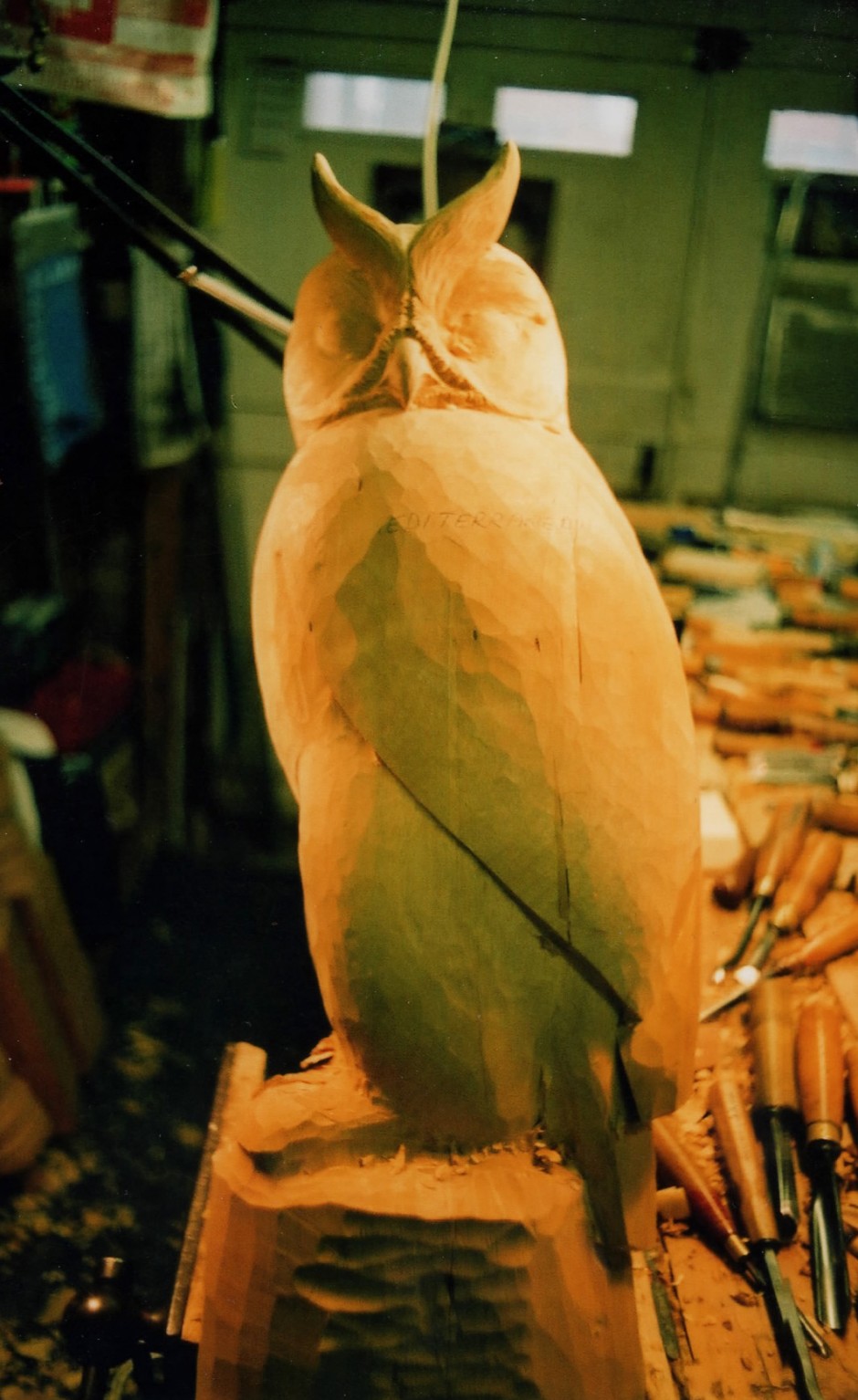 Long Eared Owl - Form Roughed Out - long eared owl, form, rough, carving, step by step